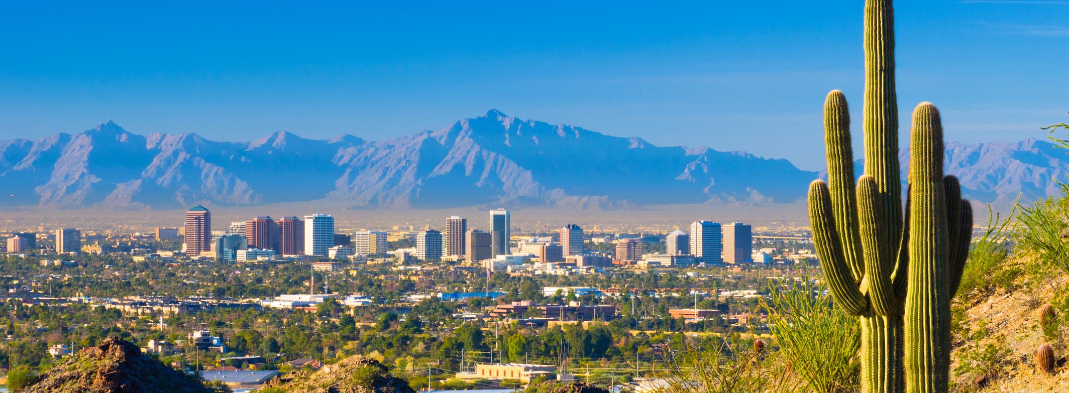 March in Phoenix: Weather and Event Guide